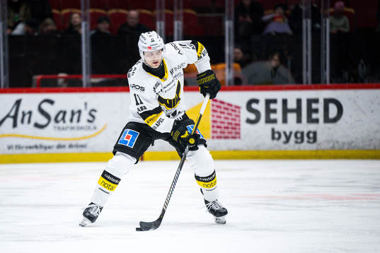 Västerås Trevor Mingoia