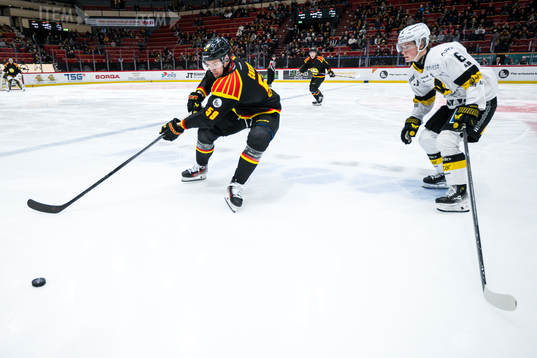 Brynäs Karlis Cukste och Västerås Hugo Lejon