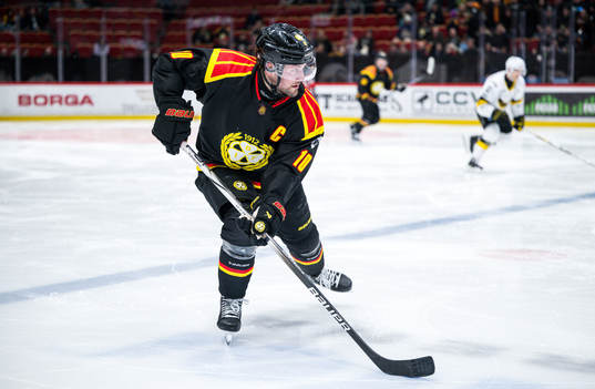 Brynäs Johan Larsson