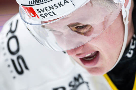 Västerås Elias Pettersson