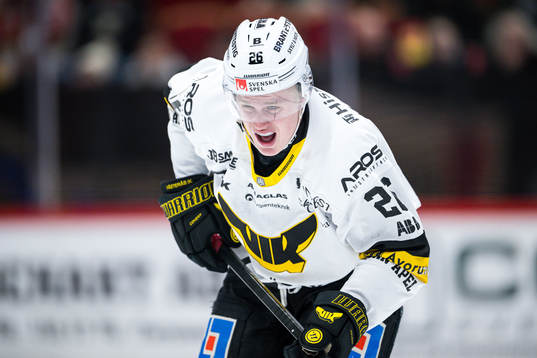 Västerås Elias Pettersson