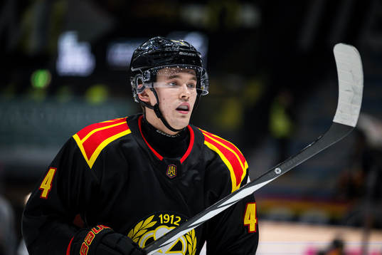 Brynäs Theo Lindstein