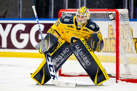 Södertäljes målvakt Tomas Sholl