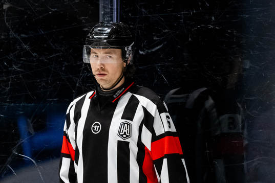 Domare Robin Jacobsson