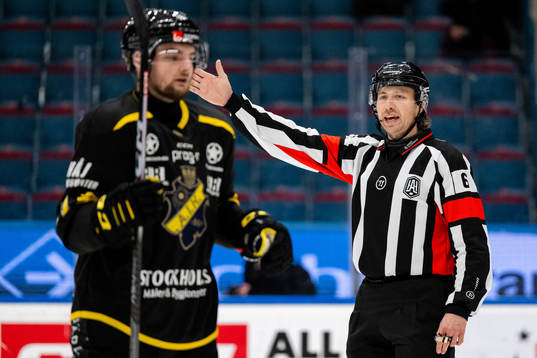 Domare Robin Jacobsson