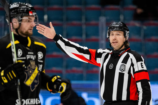Domare Robin Jacobsson