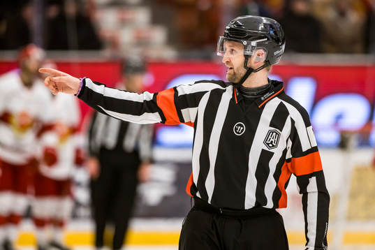 Domare Niklas Johansson