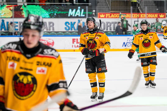 Luleås Marcus Hardegård deppar