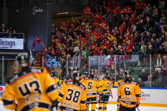 Luleås supportrar jublar