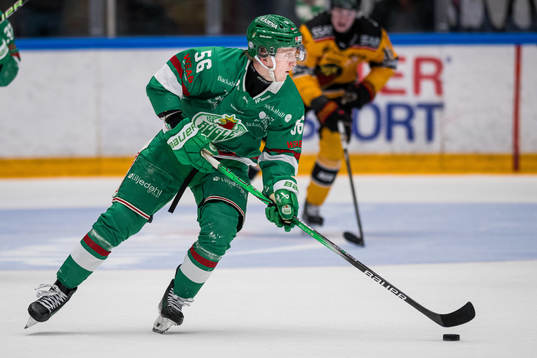 Rögles Adam Engström