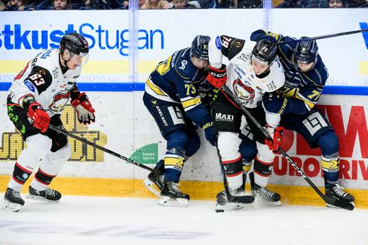 HV71s Nicholas Shore och Radan Lenc