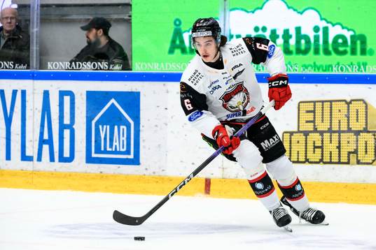 Malmö Redhawks Dominik Badinka