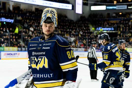 HV71s  målvakt Frederik Dichow