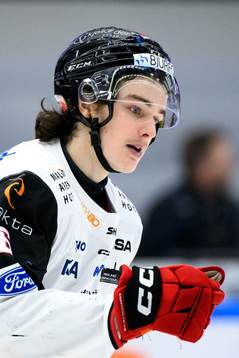 Malmö Redhawks Dominik Badinka jublar