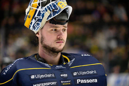 HV71s målvakt Frederik Dichow