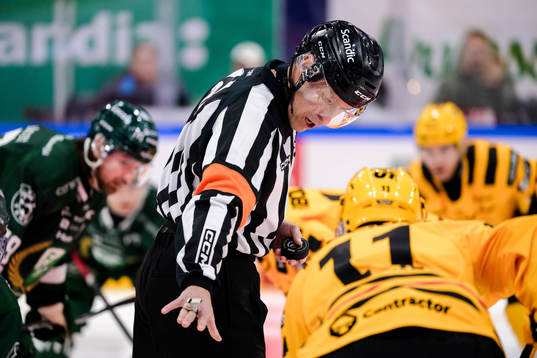 Domare Tobias Björk