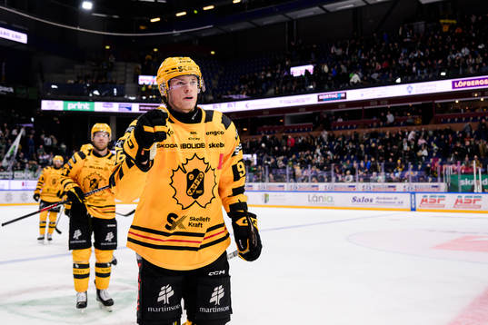 Skellefteås Rickard Hugg jublar