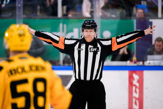 Domare Mikael Holm