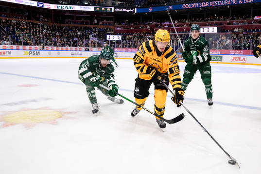 Färjestads Linus Johansson och Skellefteås Linus