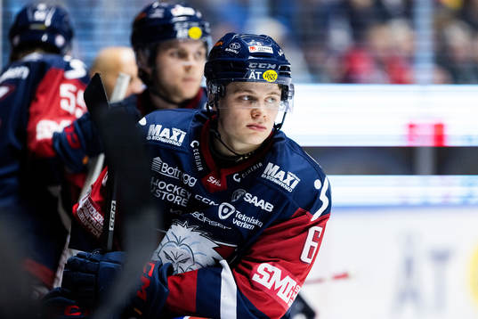 Linköpings Mattias Hävelid deppar