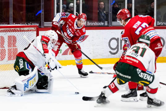 Timrås Filip Hållander