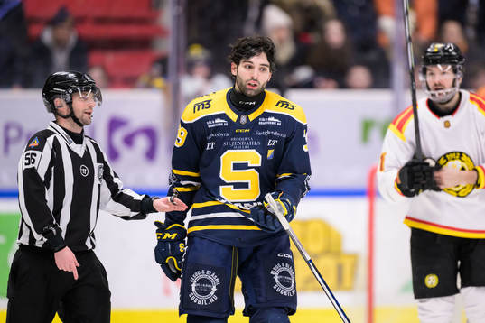Södertäljes Stelio Mattheos deppar