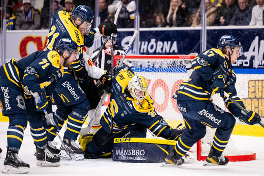Södertäljes målvakt Tomas Sholl