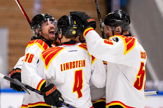 Brynäs Anton Rödin jublar