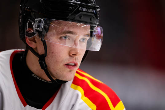 Brynäs Theo Lindstein