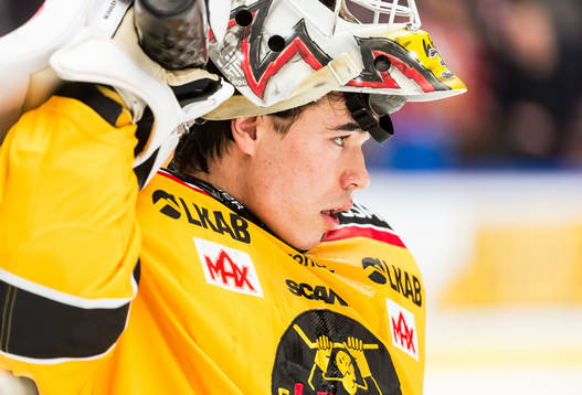 Luleås målvakt Matteus Ward