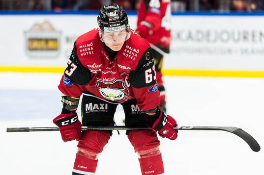 Malmö Redhawks Fredrik Händemark deppar