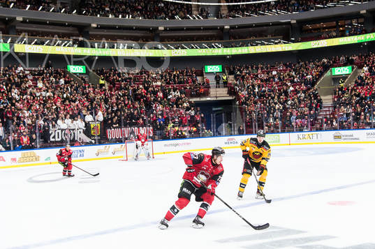 Malmö Redhawks Adam Ollas Mattsson