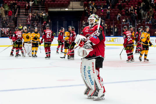 Malmö Redhawks målvakt Adam Werner deppar