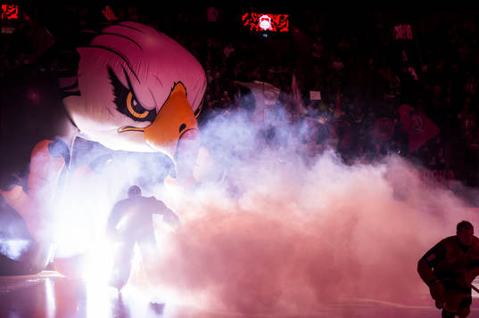 Malmö Redhawks spelare gör entré innan ishockeymatchen i