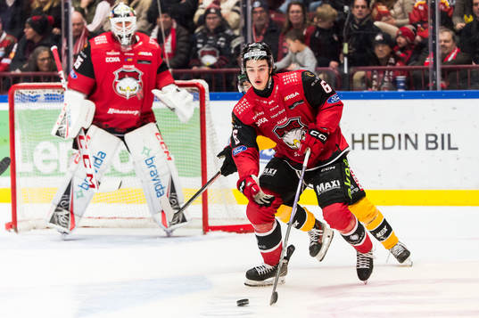 Malmö Redhawks Dominik Badinka