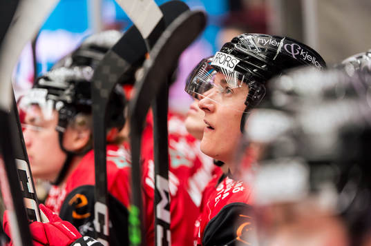 Malmö Redhawks Fredrik Händemark deppar