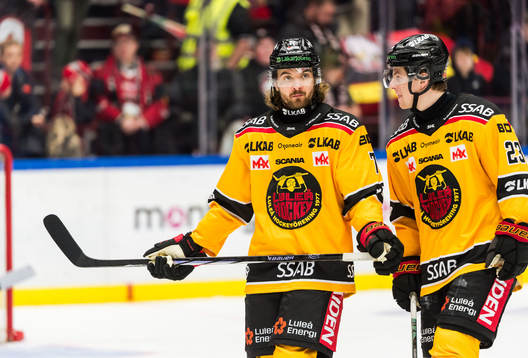 Luleås Adam Brodecki deppar