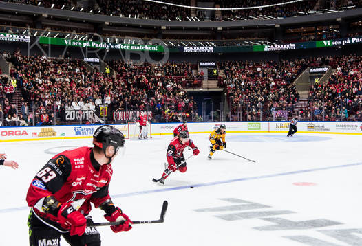 Malmö Redhawks Lauri Pajuniemi