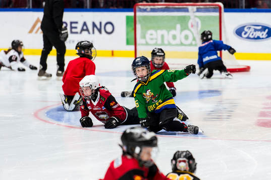 under ishockeymatchen i SHL mellan Malmö Redhawks och