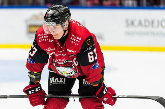 Malmö Redhawks Fredrik Händemark deppar