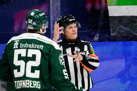Domare Mikael Nord