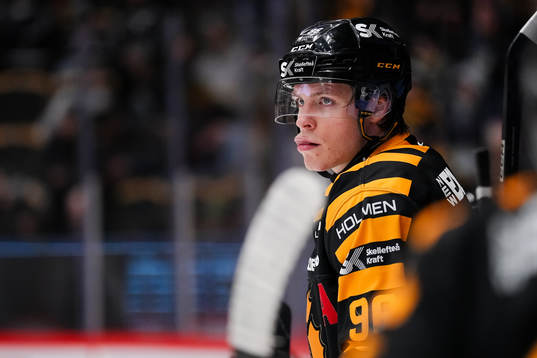 Skellefteås Rickard Hugg deppar