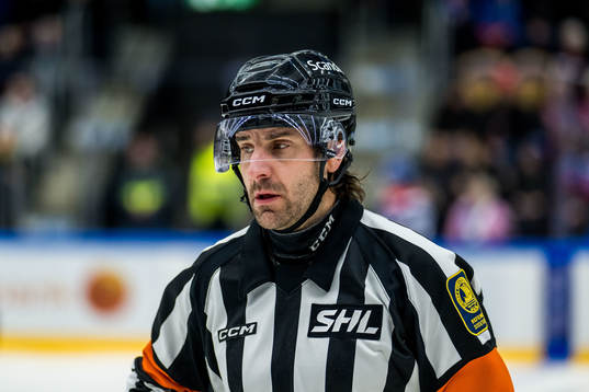 Domare Mikael Sjöqvist