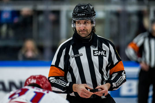 Domare Mikael Sjöqvist