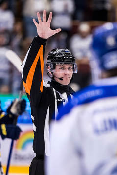 Domare Daniel Eriksson
