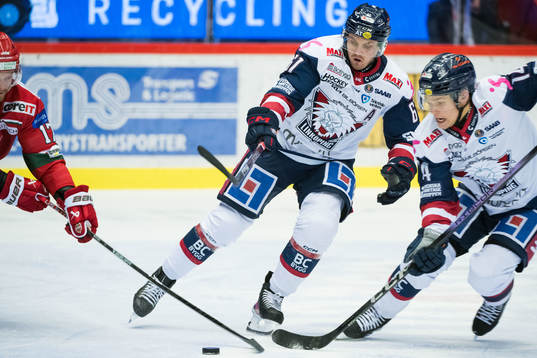 Linköpings Markus Ljungh