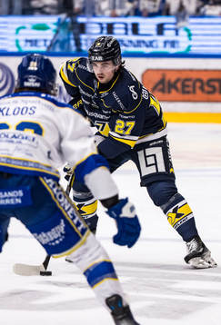 HV71s Robert Nardella