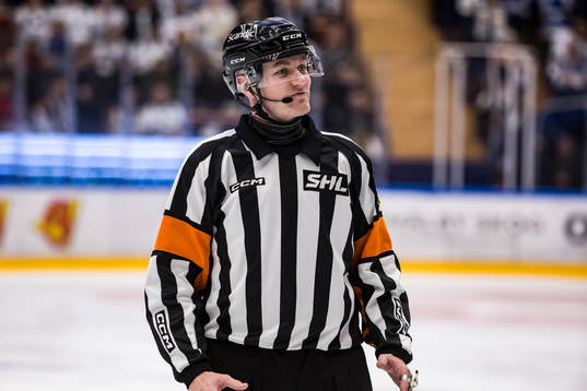 Domare Daniel Eriksson