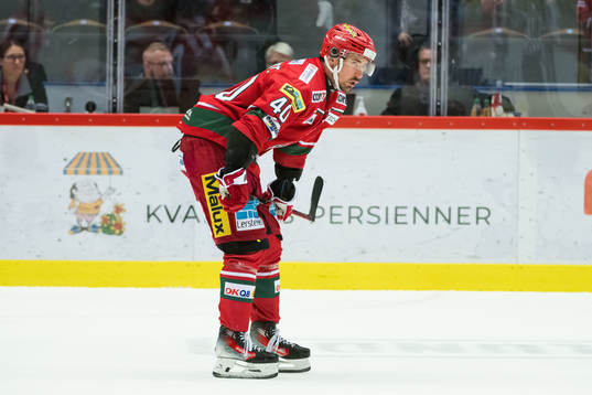 MoDos David Bernhardt