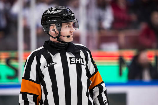 Domare Daniel Eriksson